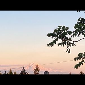 Meet your Posher, Vidhya